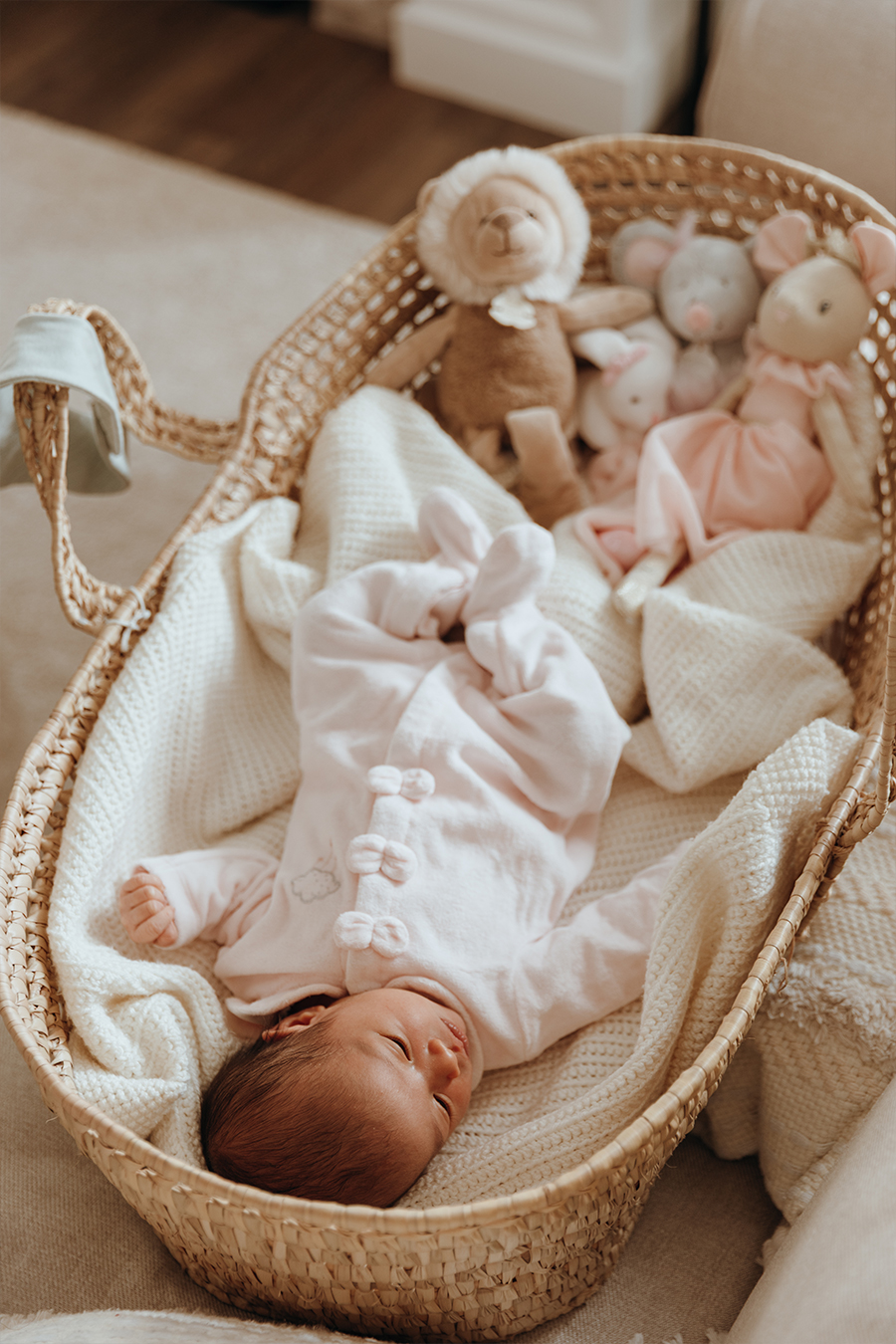 Séance photo naissance près de Meaux